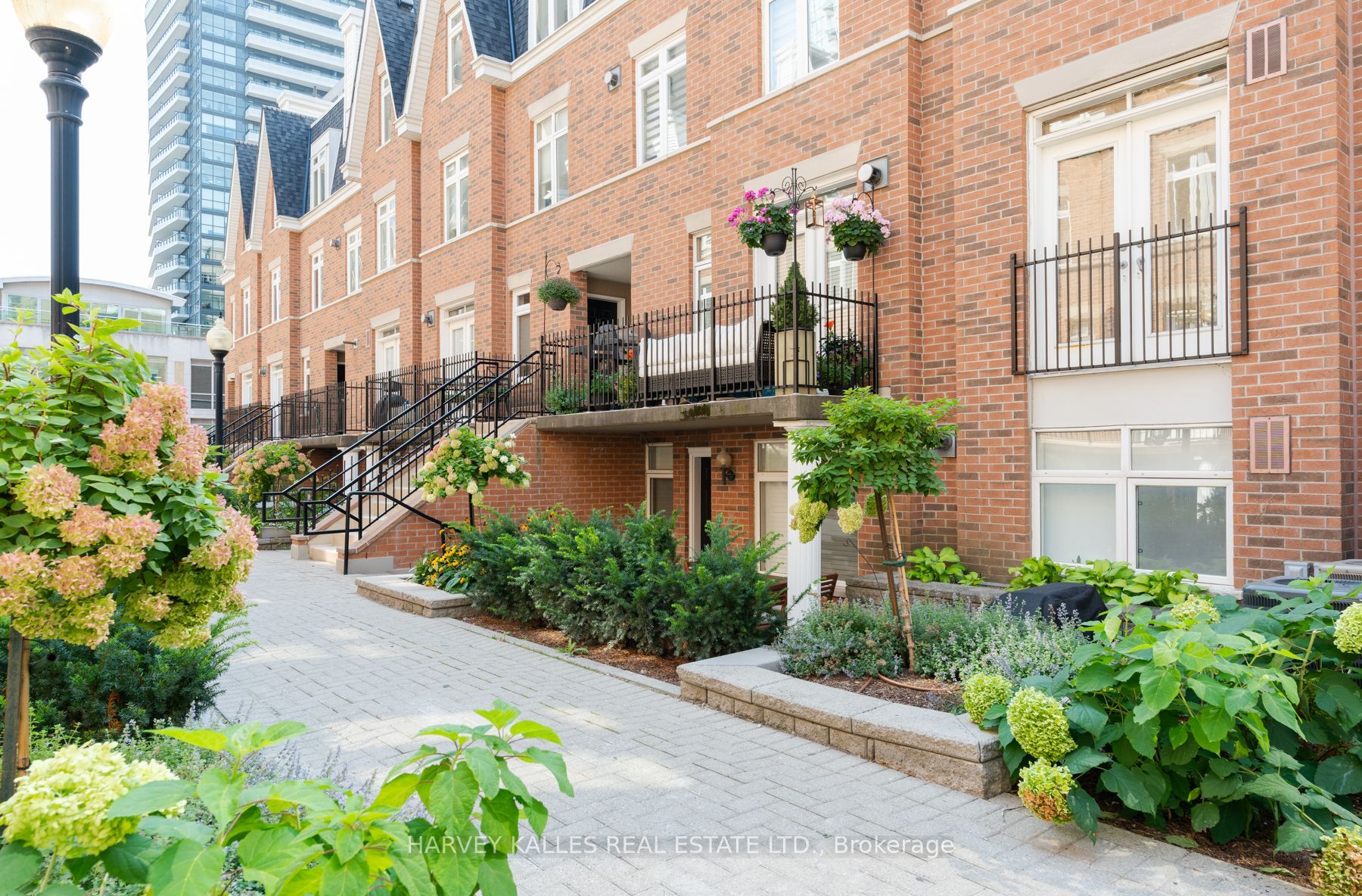 85 Lillian Street 10