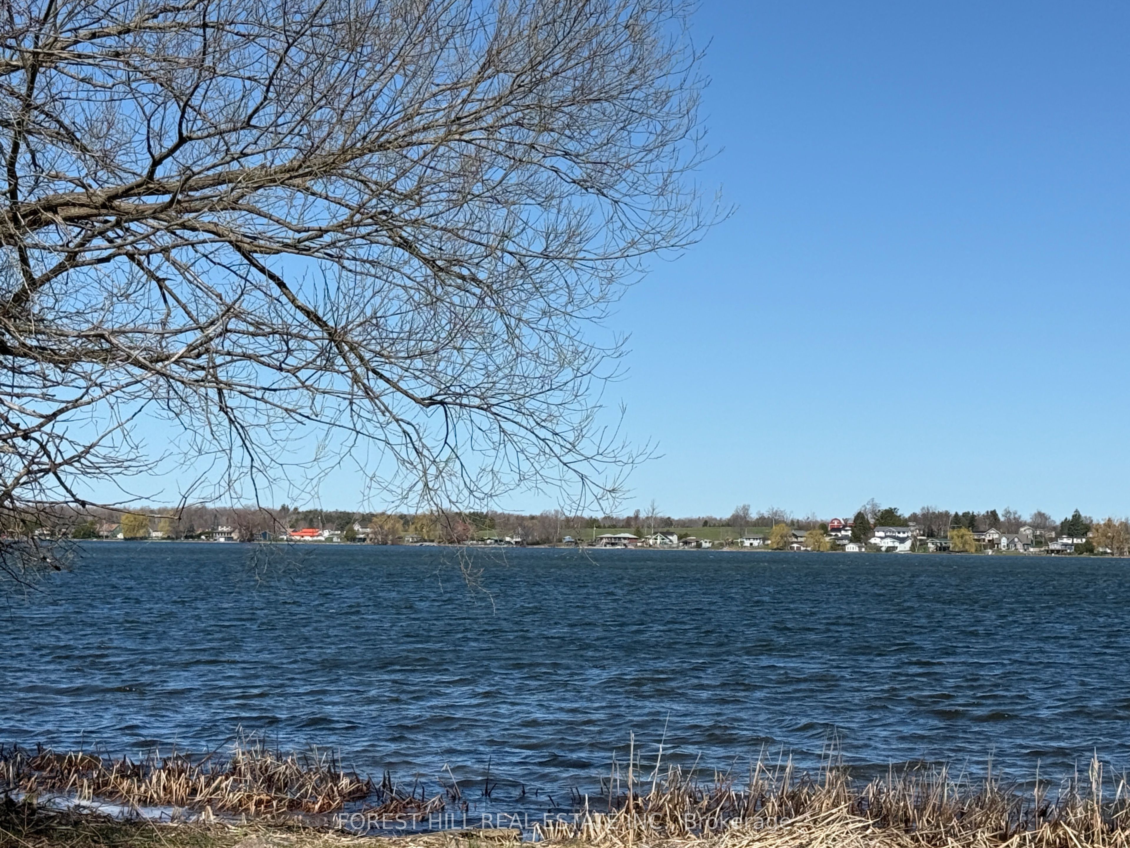 2 Forestview Court, Kawartha Lakes, ON K9V 0A8