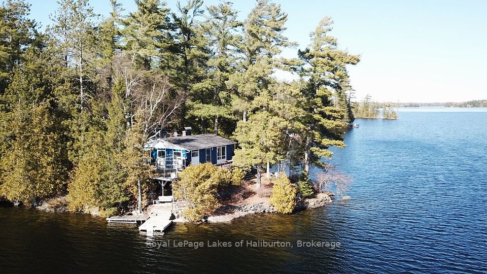 96 Pine Point