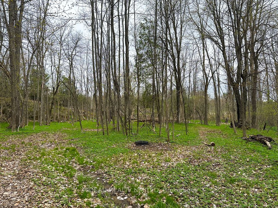 PL21 Pine Glen