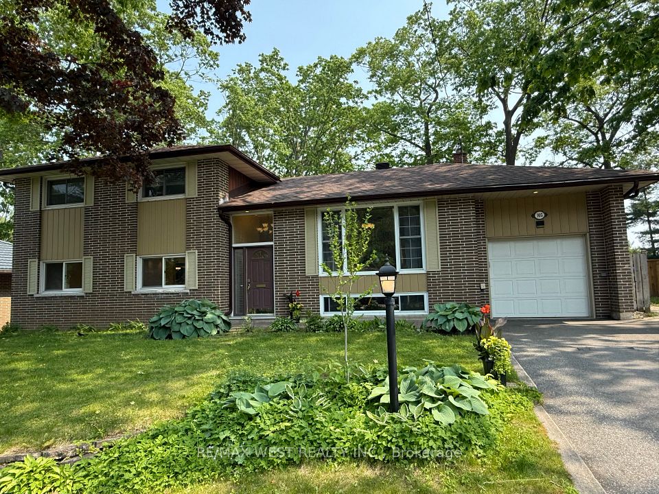 105 Shirley