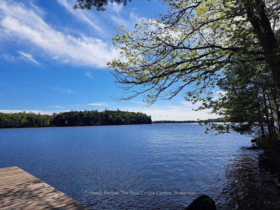 1519 Muskoka Rd 118