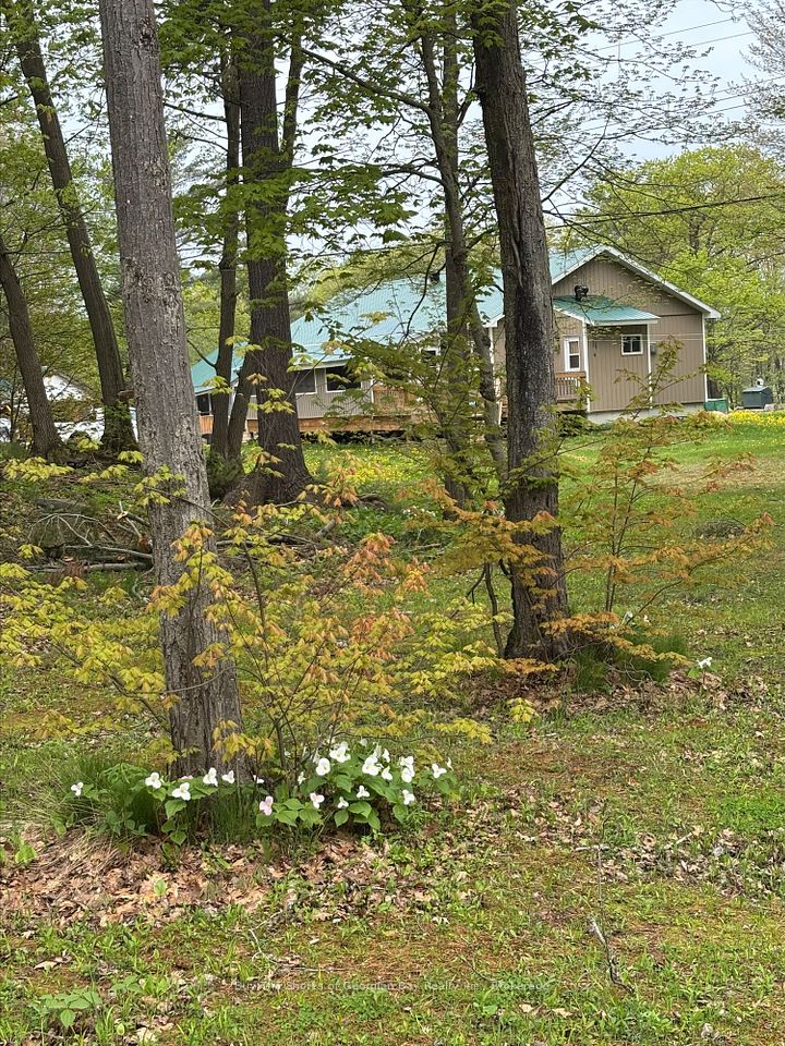 undefined ; MLS ID: X12098192