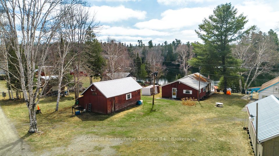 37 Red Cedar