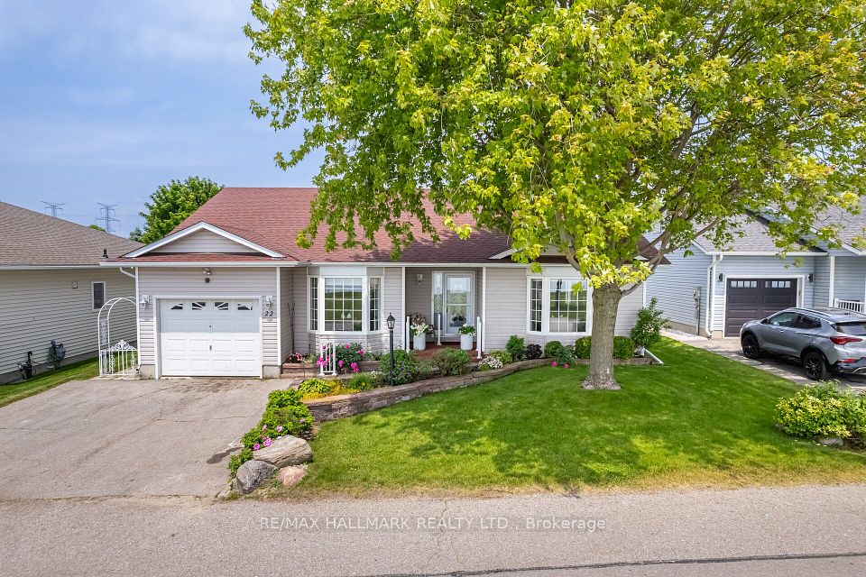 22 Birch Tree