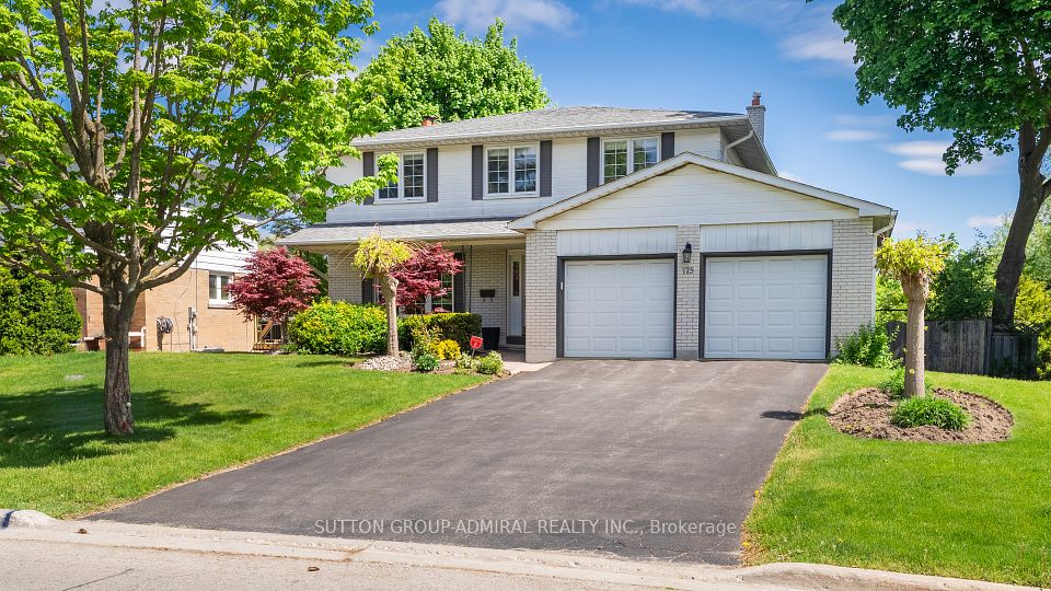 175 Bay Thorn