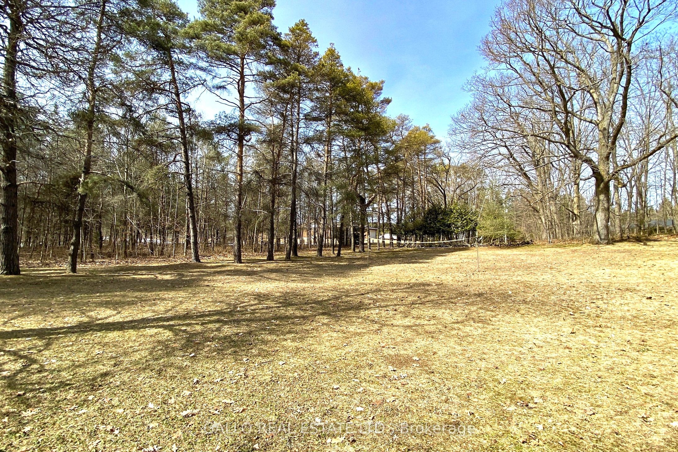 15380 MCCOWAN Road