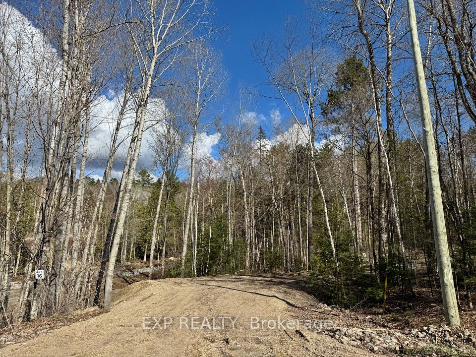 Lot 16 Lakewoods