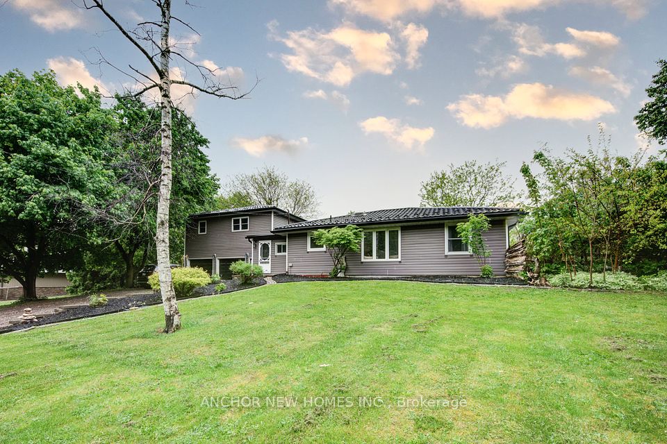 403137 ROBINSON