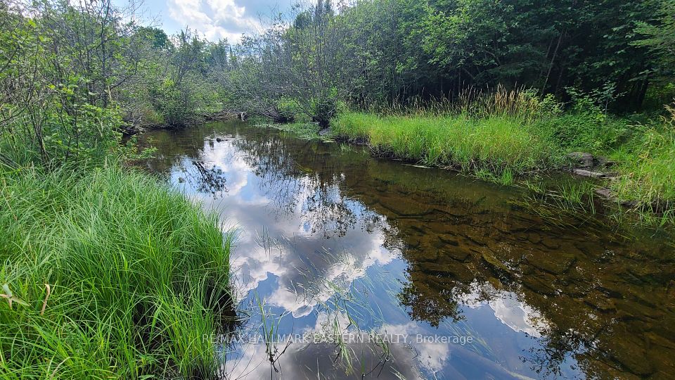 N/A Keating Road, Havelock-Belmont-Methuen, ON K0L 1Z0