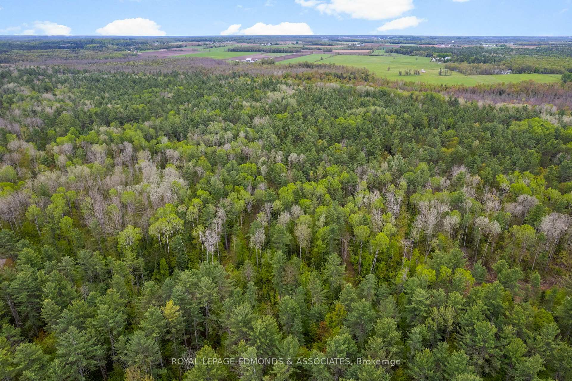 0000 Nangor Trail ; MLS ID: X12167236