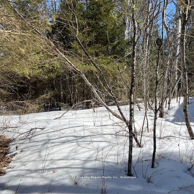 7 Burrits Road, Papineau-Cameron, ON P0H 1V0