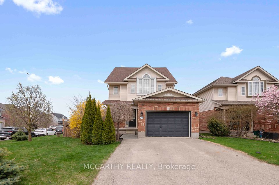 337 Rintoul