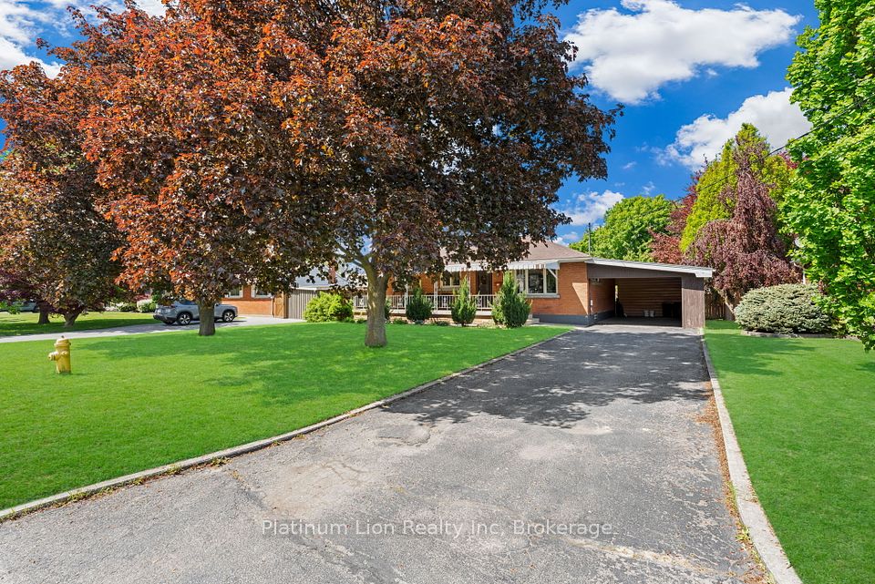 19 Kinnard Road