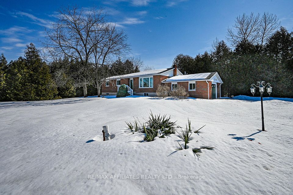 55 Bacchus Island