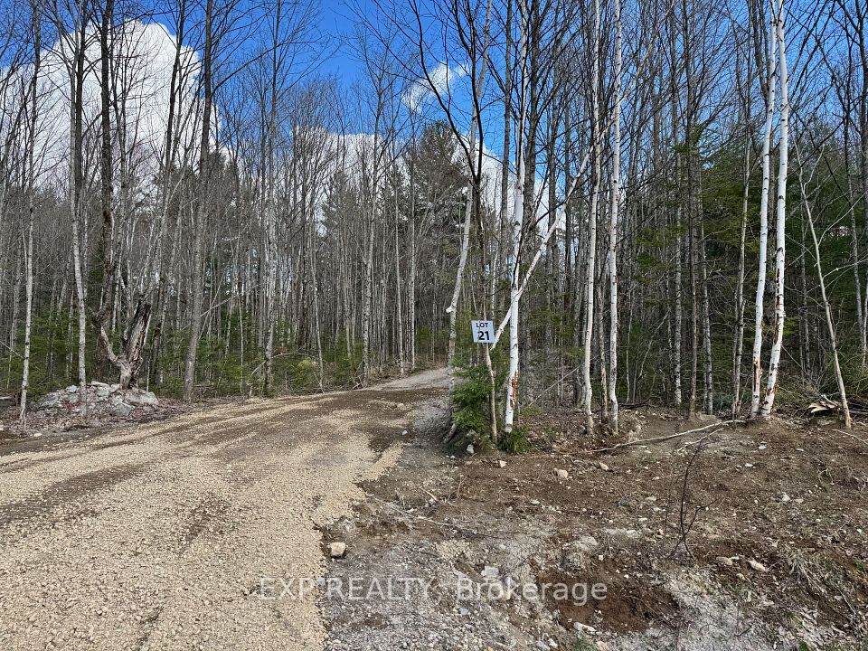 Lot 21 Lakewoods