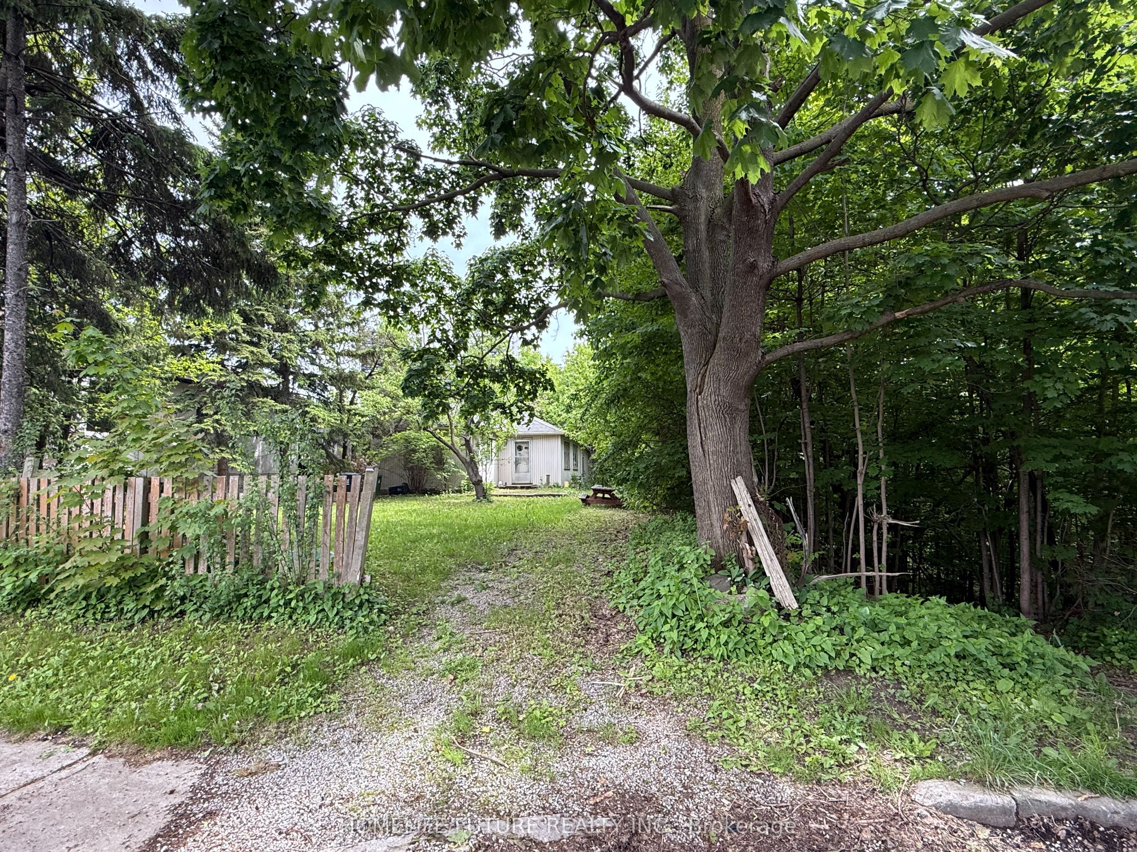 31 Maple Bush Avenue