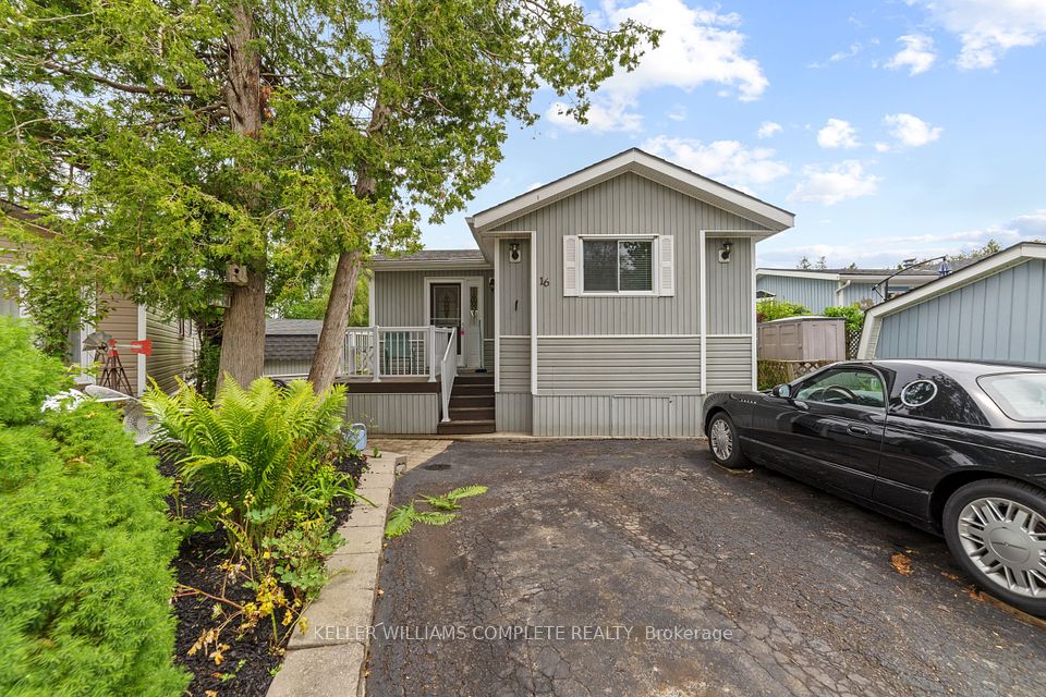 16 Pine