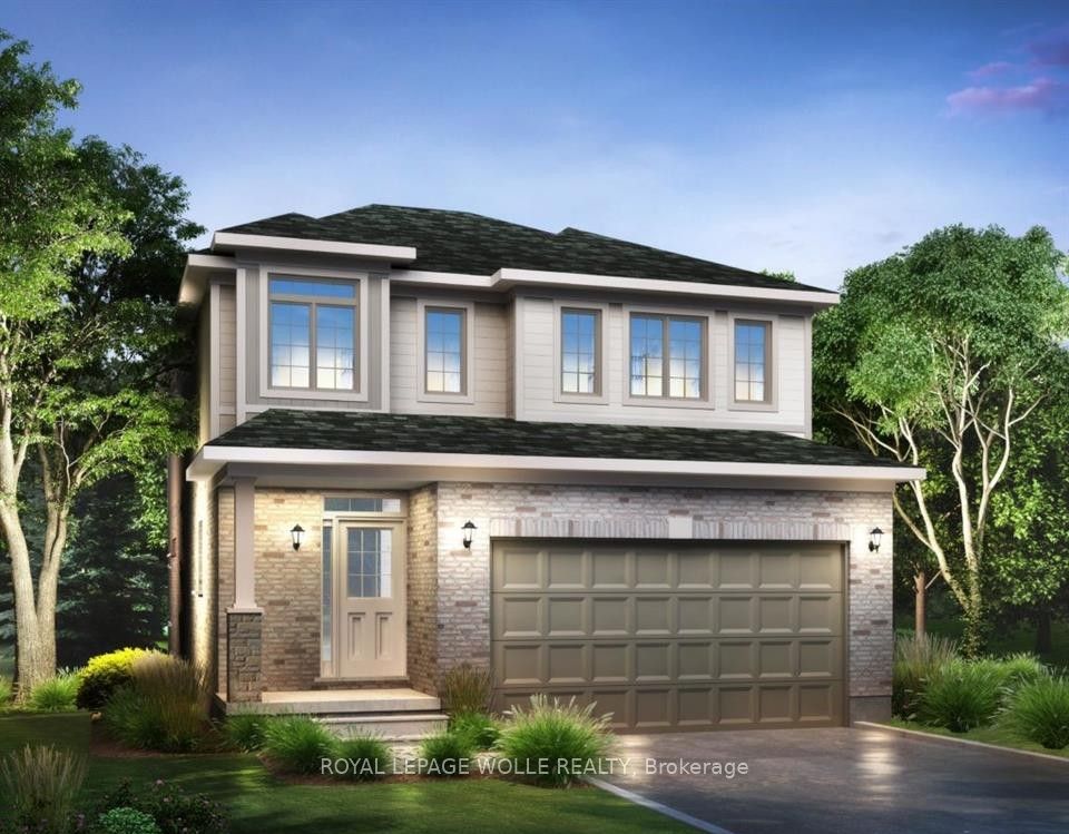 546 Balsam Poplar