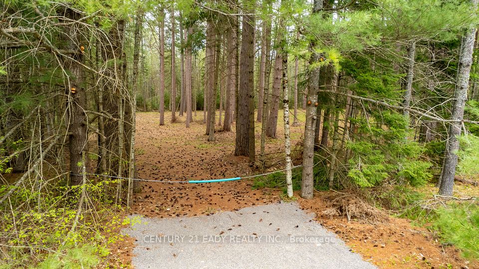 536 Pine Street, Greater Madawaska, ON K0J 2R0