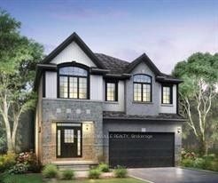 541 Balsam Poplar