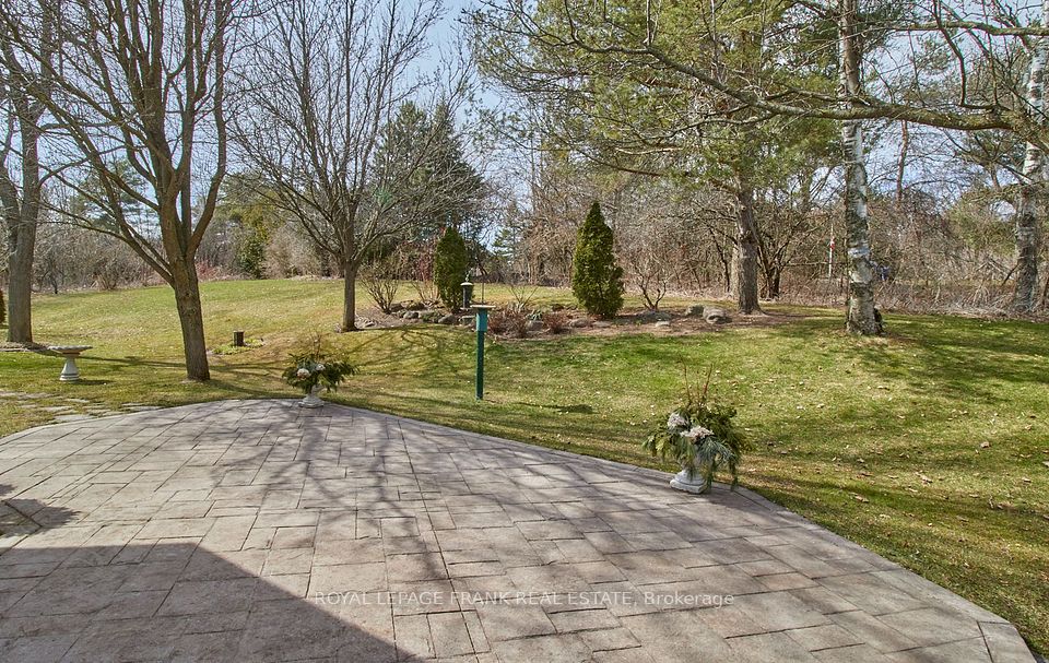 Back Gardens
