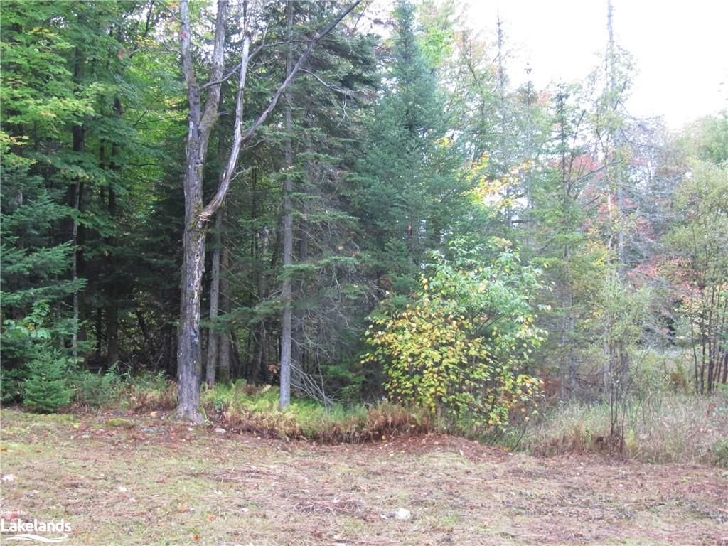 Level Cleared Area