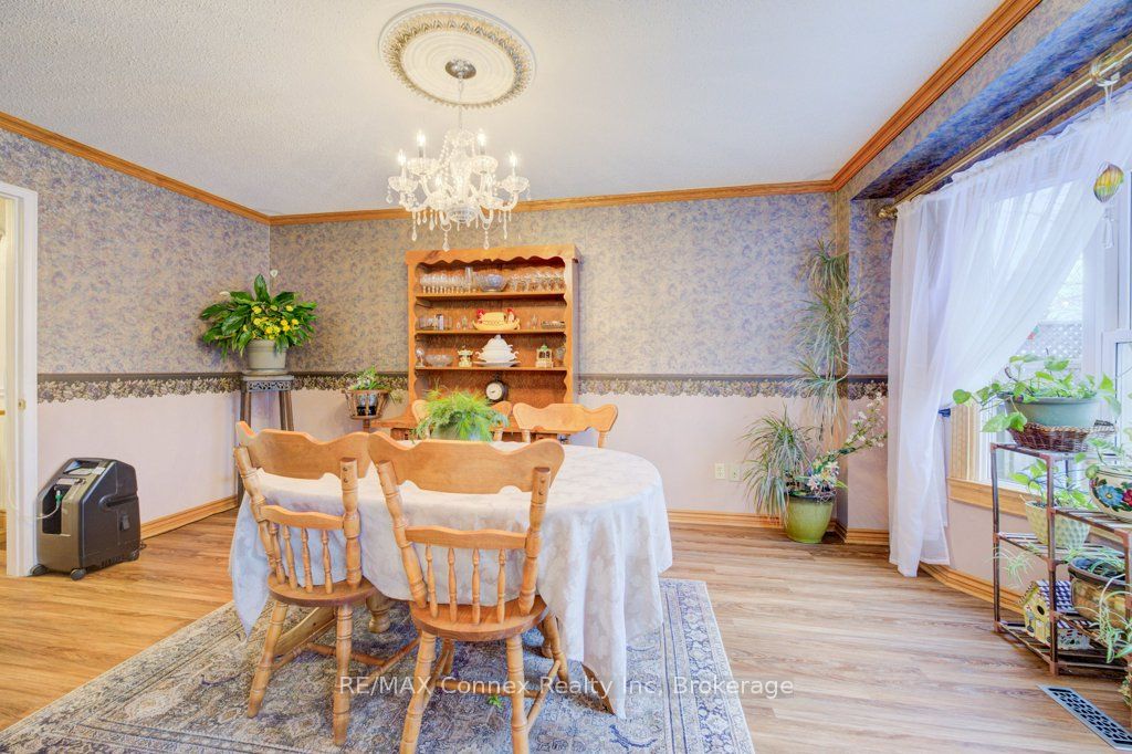 59 Rosebud Avenue