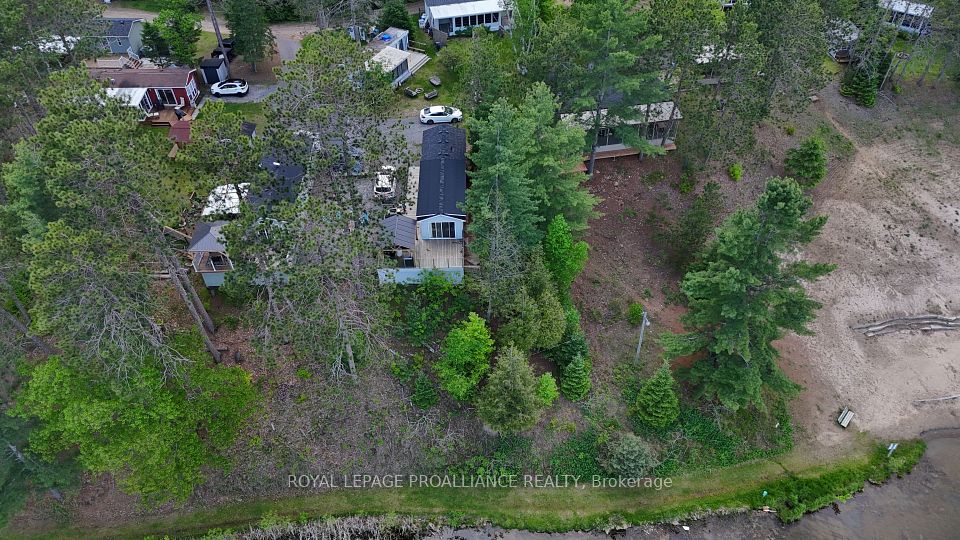 240 Pinewood Park