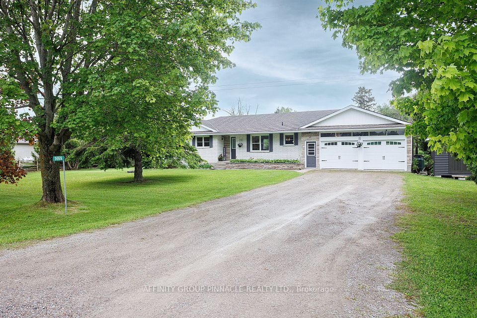 1469 Elm Tree