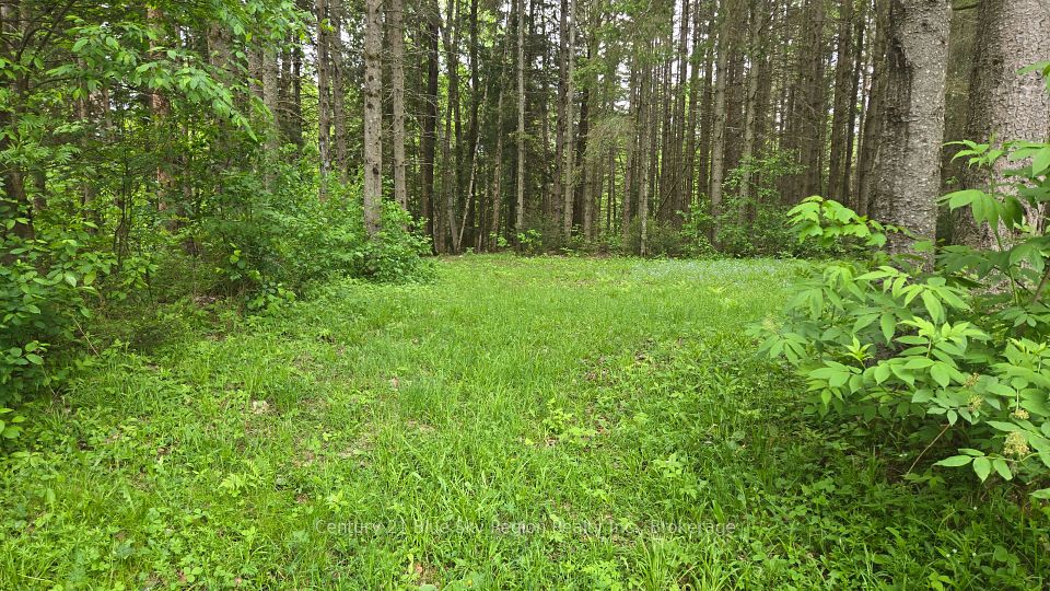 648 O'CONNOR Line, Powassan, ON P0H 1Z0