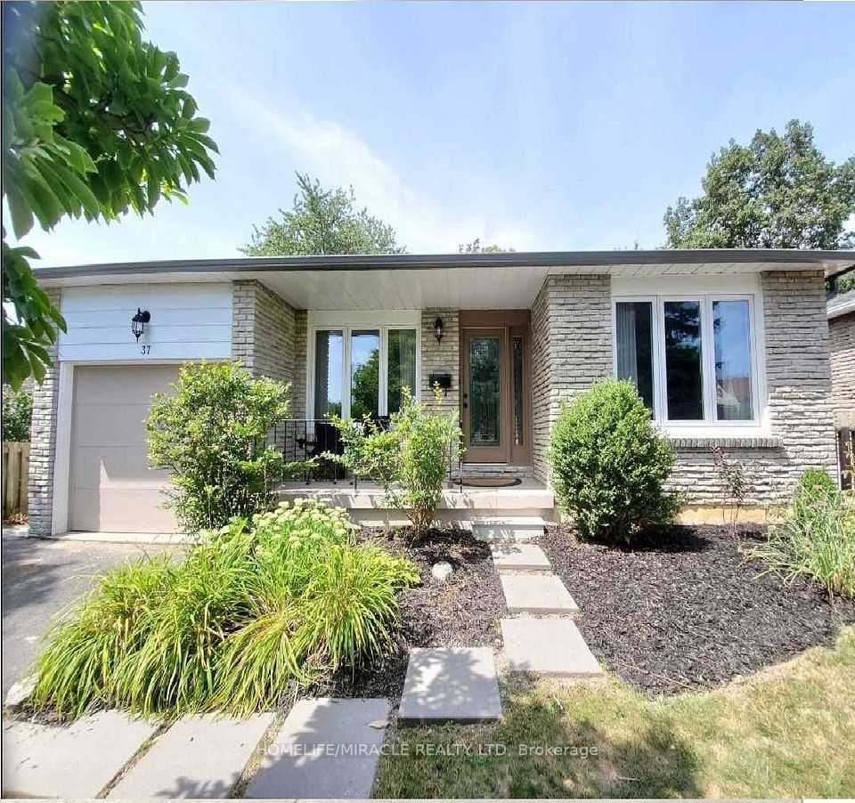 37 Harland