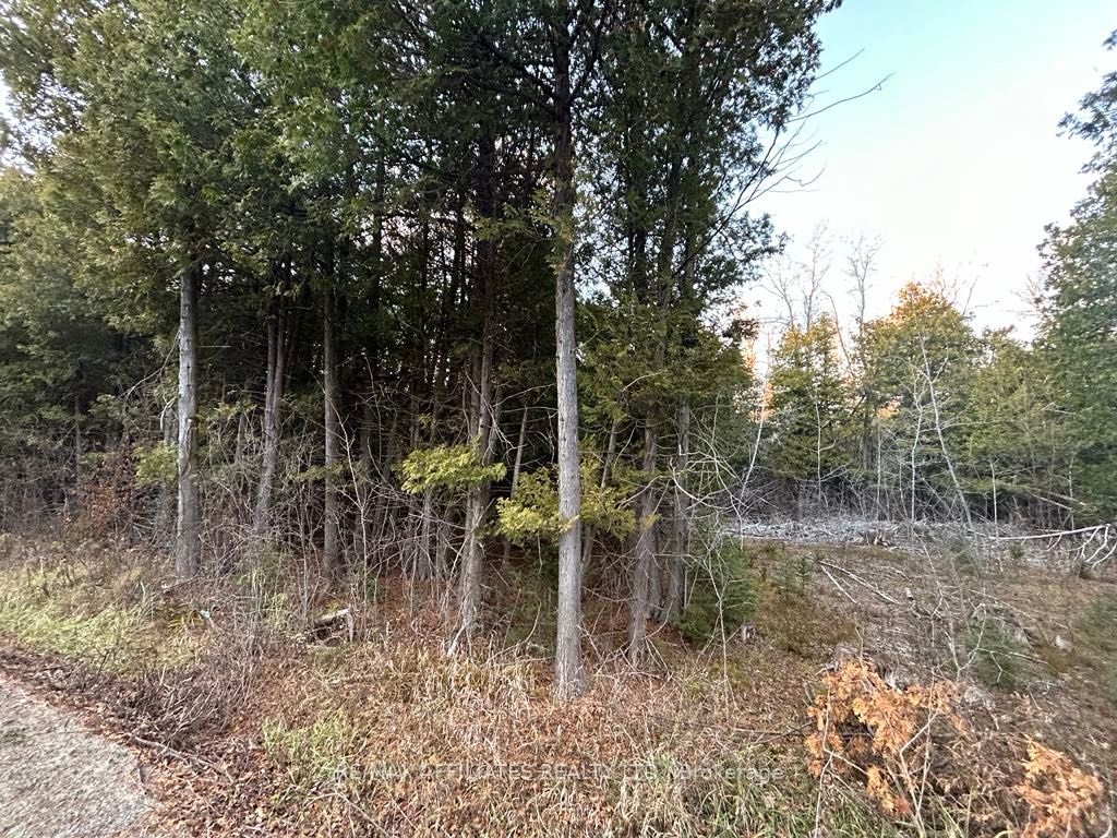 00 Snowdon Corners Road, Merrickville-Wolford, ON K0G 1N0