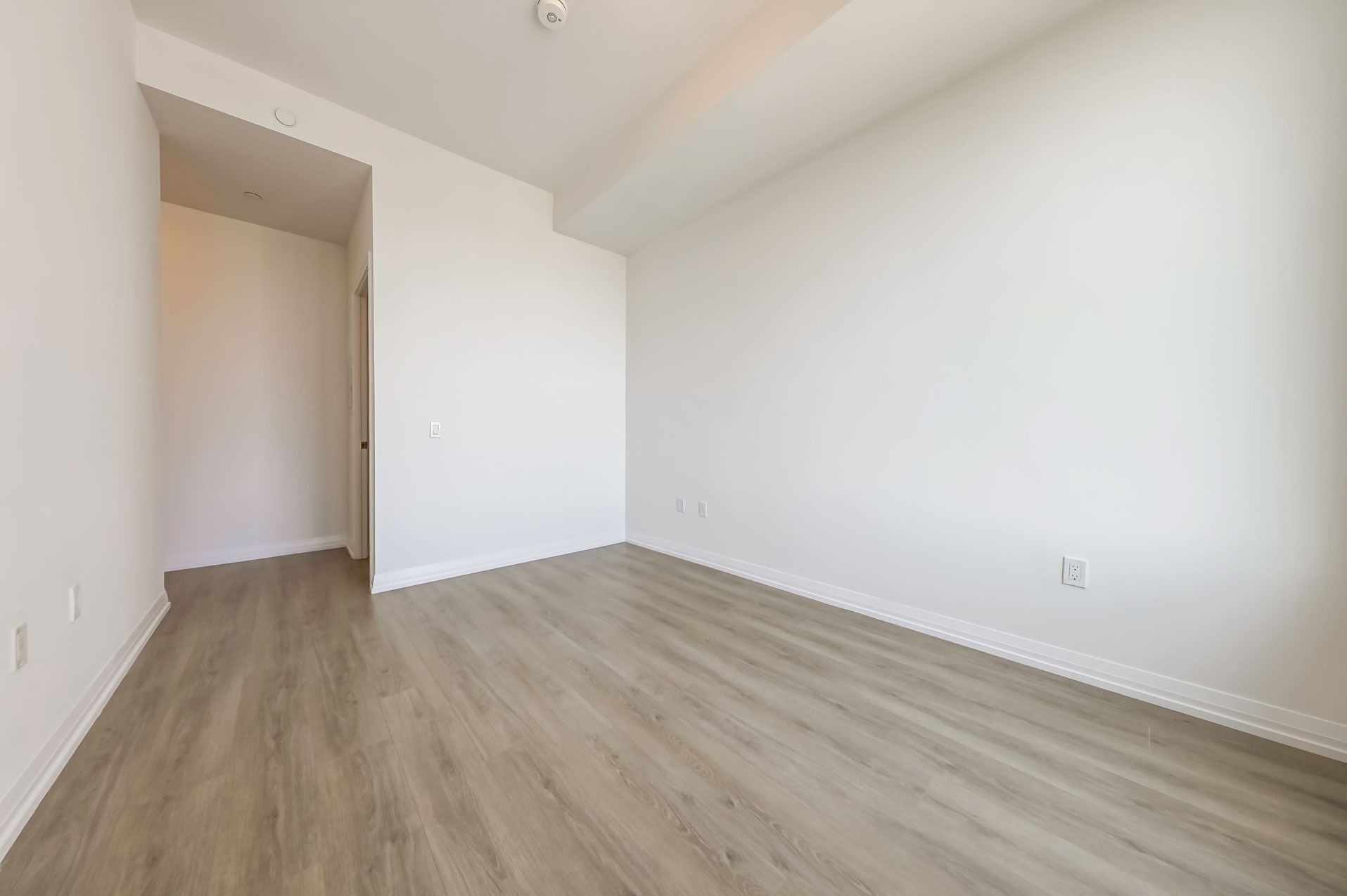 25 Holly St Street LPH05