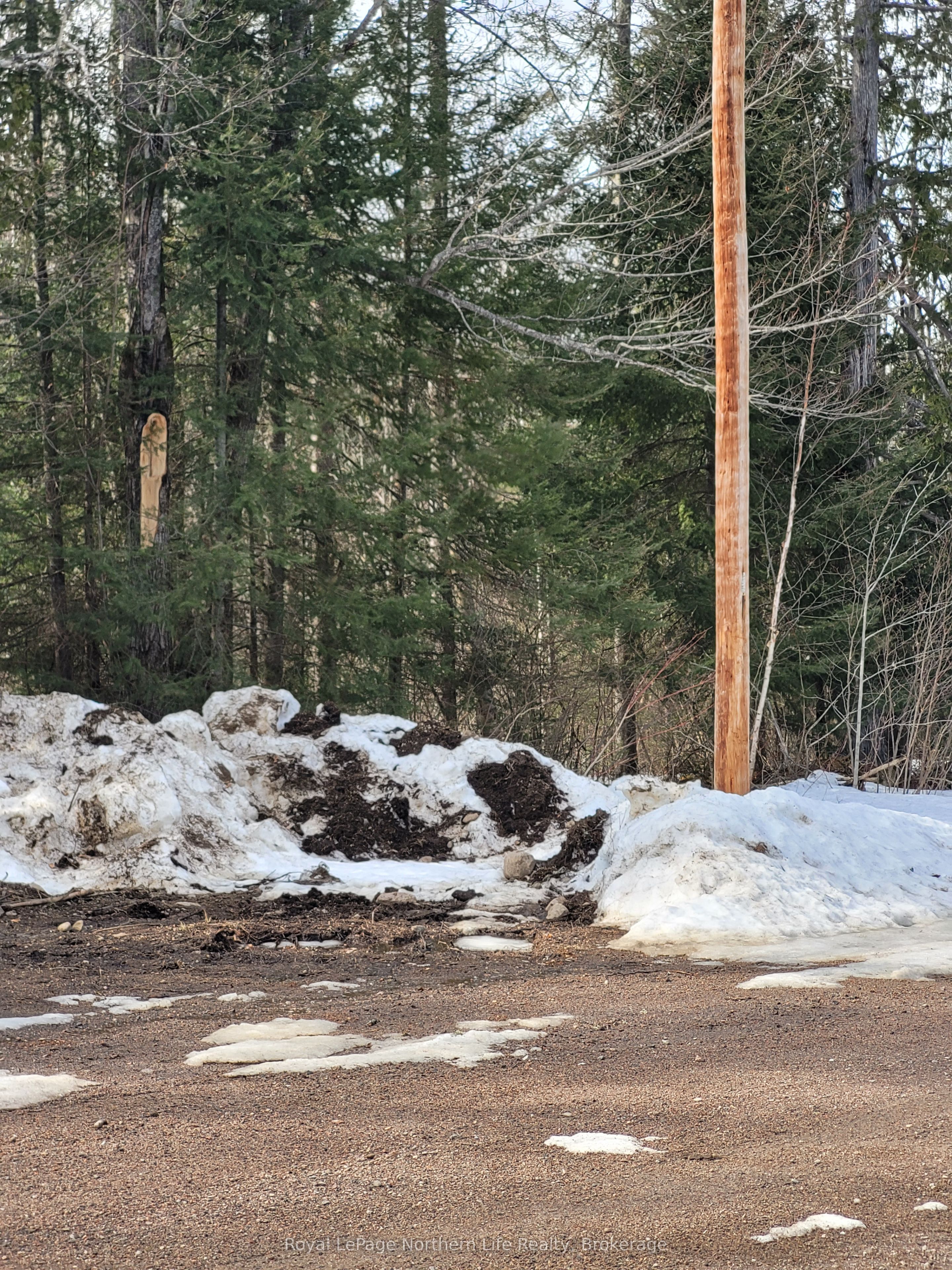 Lot 21 Con 13 Pt 1 N/A, Papineau-Cameron Papineau Cameron