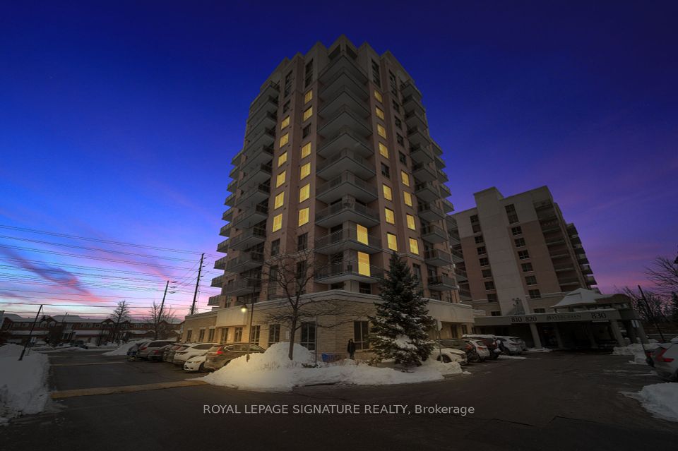 810 Scollard