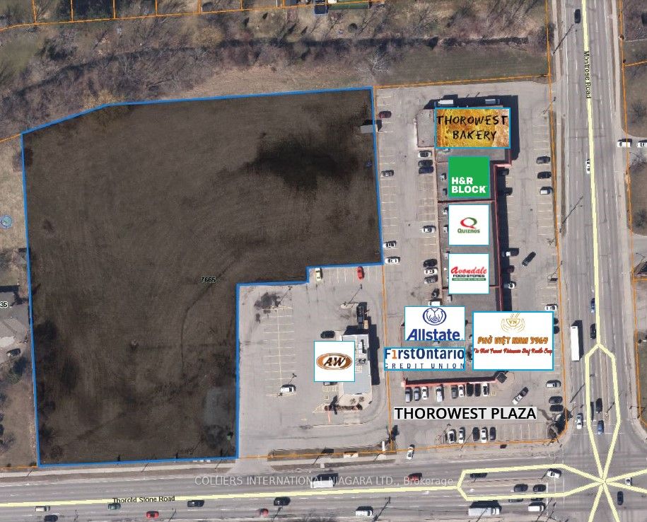 7665 THOROLD STONE