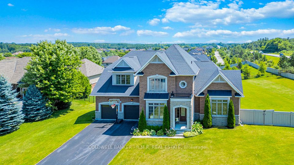 19 Forestgreen