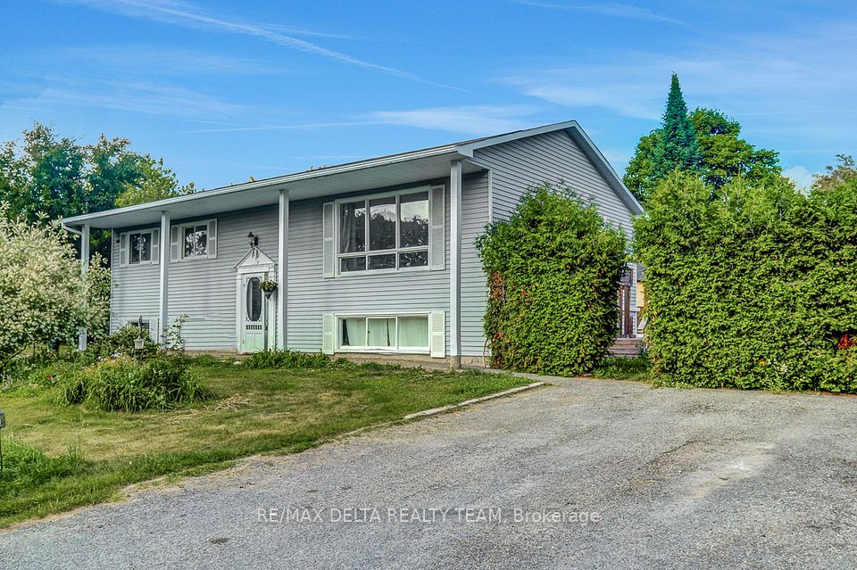3333 White Spruce