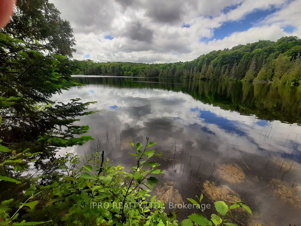 6447 Opeongo