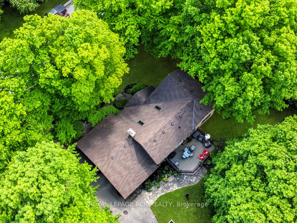 117 Birch