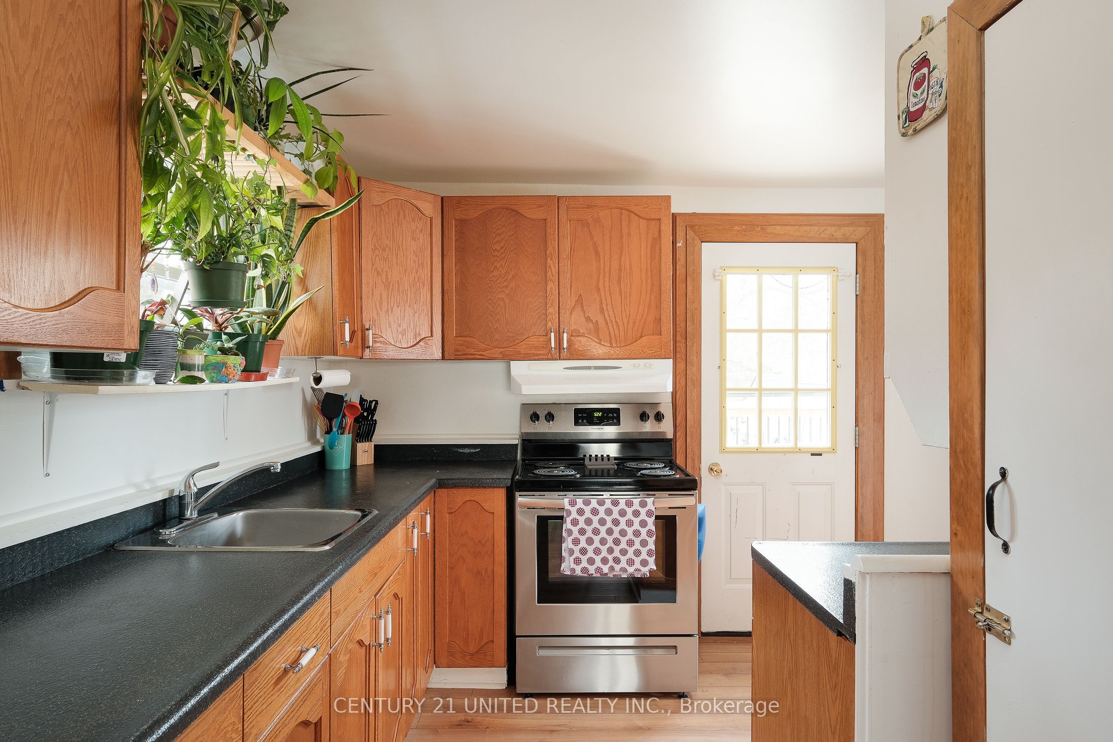 41 Alma Street, Asphodel-Norwood, ON K0L 2V0