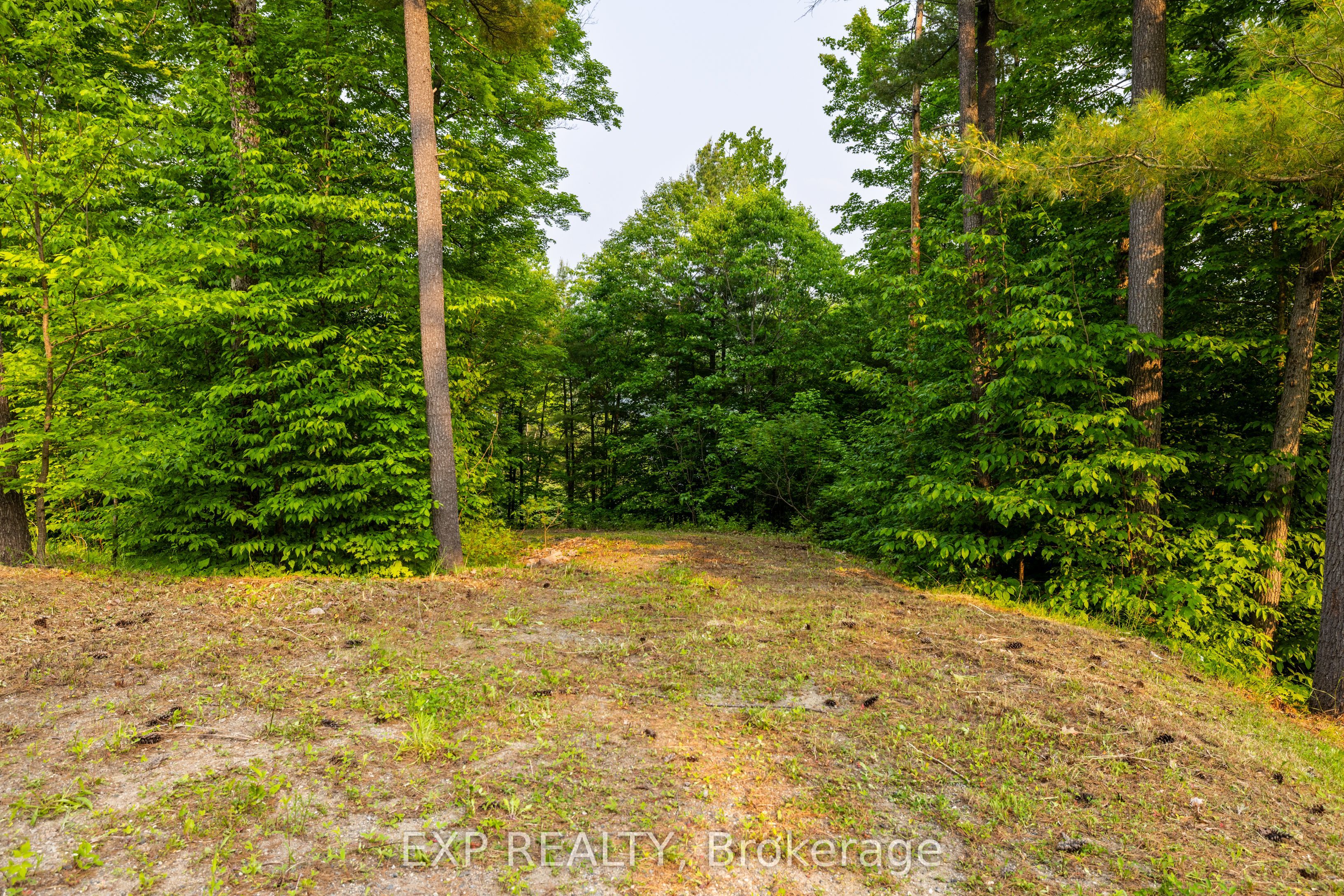 Listing picture