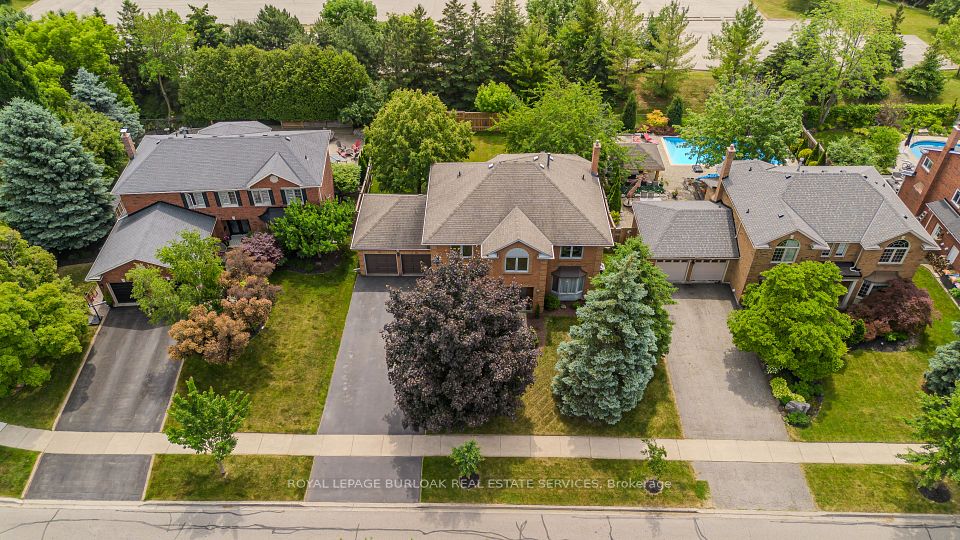 1352 Winterberry