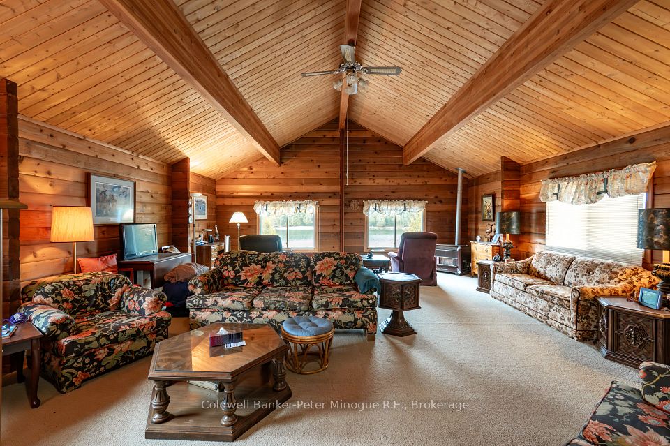 37 Red Cedar