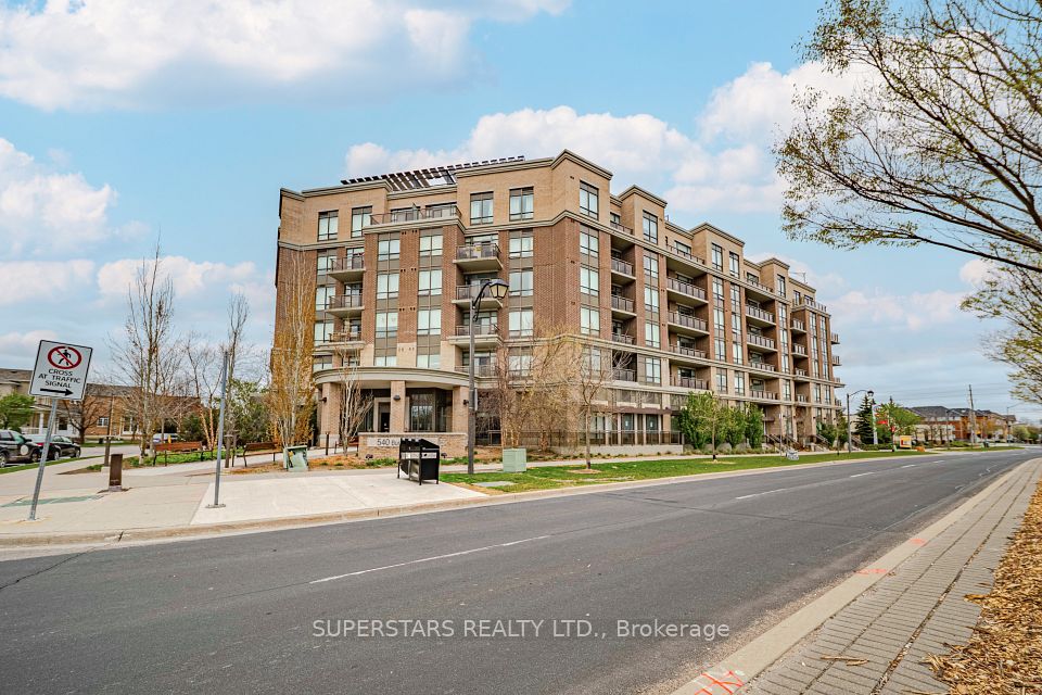 540 Bur Oak