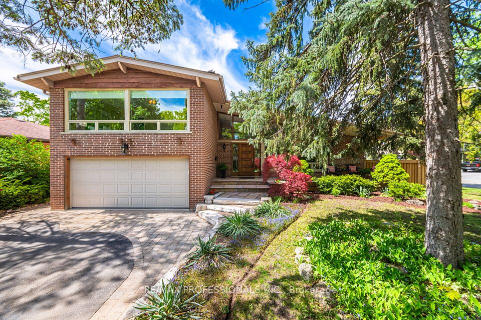 8 Silverthorne Bush