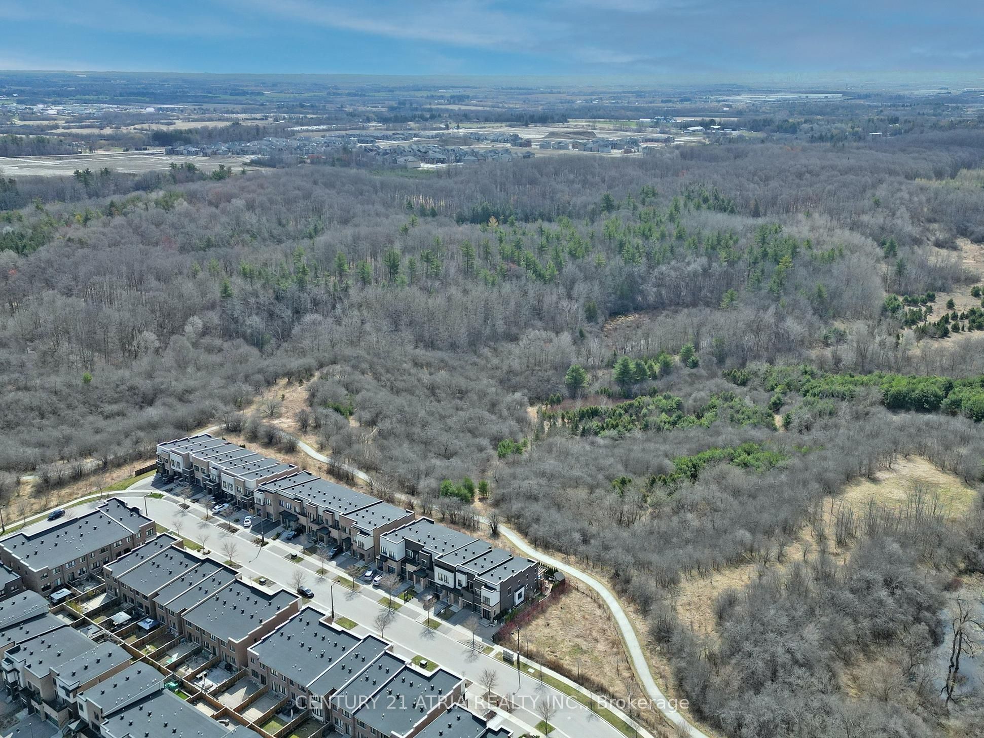 105 Anchusa Drive