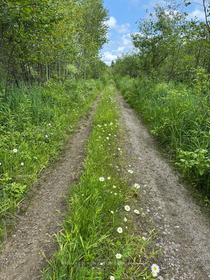 0 Jones Road