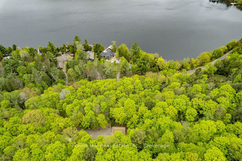 1175 Paint Lake Road, Lake of Bays, ON P0A 1E0